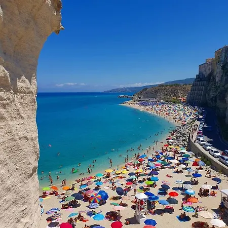 Orchidea Tropea