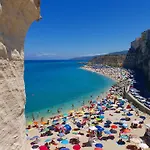 Orchidea Tropea