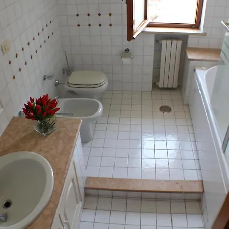 Orchidea 트로페아